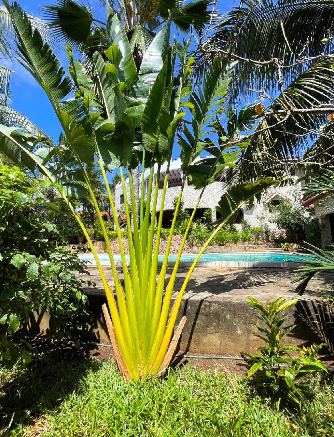 Tembo Village Watamu Ngoại thất bức ảnh